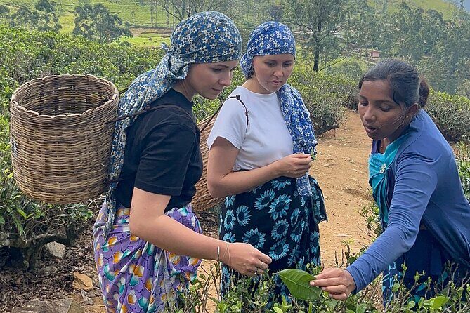 12 days Sri Lanka Round Tour private vehicle BB Accommodation - Final Thoughts