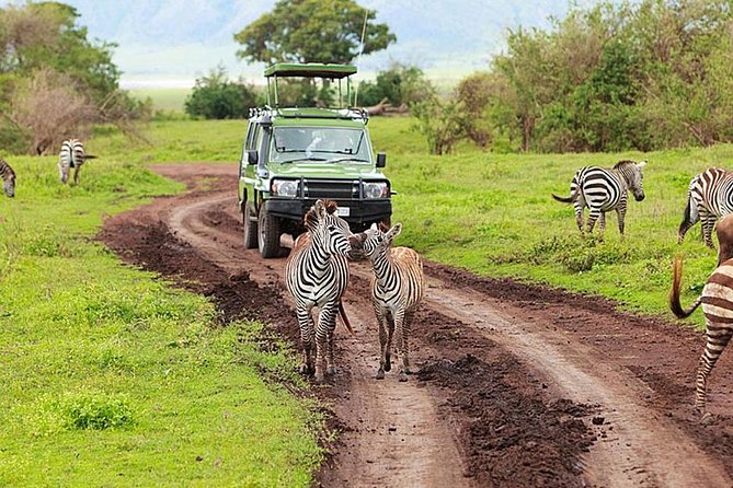 12 Days Tanzania Best Wildlife Safari And Zanzibar Beach Holiday - Accommodation & Meals Details