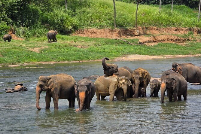 12 Days Tour Grand Discovery of Sri Lanka - Good To Know