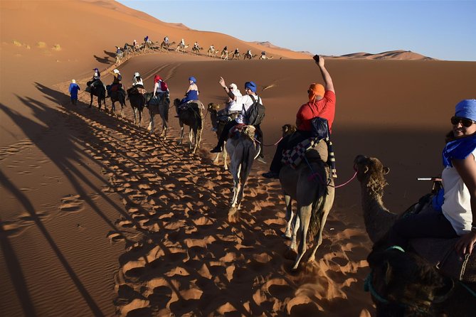12 Days Tour to the Heart of Morocco - Ait Ben Hadou and Ouarzazate Experience