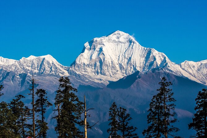 12 Days Trek Tour in Nepal - Trek to Mohare Danda