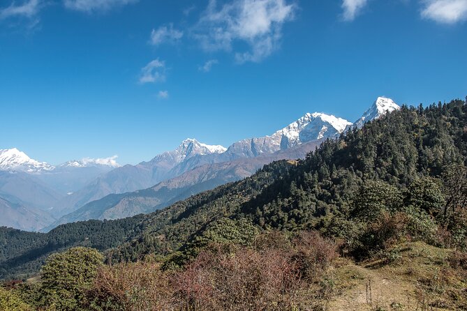 12 Days Trek Tour in Nepal - Trek to Deurali