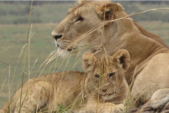 12 Days Wildlife Safaris And Culture Tour - Booking Information