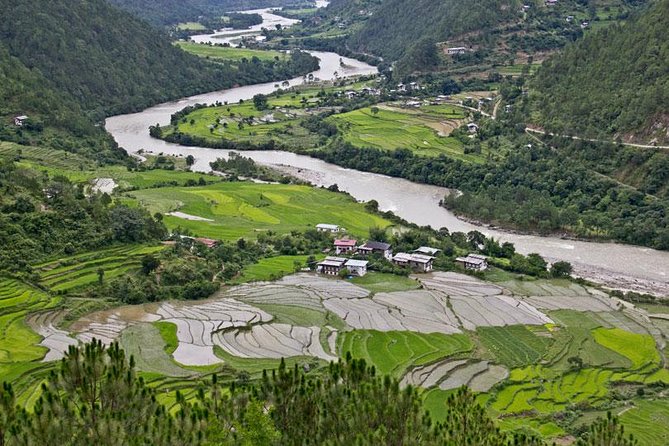 12 Days Wonders of Bhutan With 3-Day Gangtey Nature Trek - Discovering Ancient Monasteries and Temples
