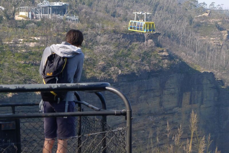 12-Hour Blue Mountains with River Cruise Day Tour - Featherdale’s close-up wildlife stop