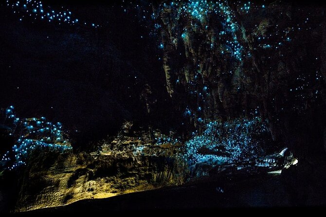 12-Hour LOTR Trollshaws & Waitomo Glowworm Tour - Tour Highlights