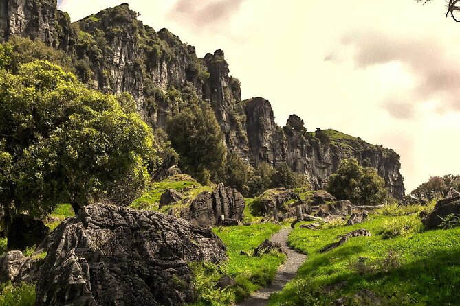 12-Hour LOTR Trollshaws & Waitomo Glowworm Tour - Common Questions
