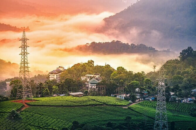 12 Hours Private Munnar Tour from Kochi - Good To Know