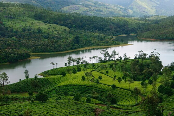 12 Hours Private Munnar Tour from Kochi - Final Thoughts: Is This Tour Worth It?