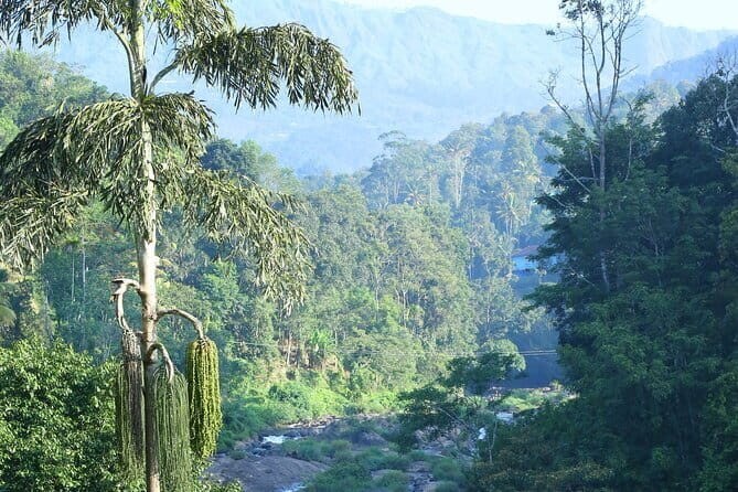 12 Hours Private Munnar Tour from Kochi - Who Should Consider This Tour?