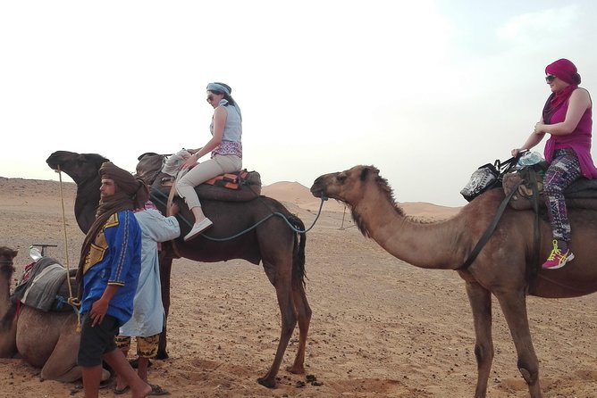 12 Nights Private Best Tour of Morocco - Tour Pricing and Duration