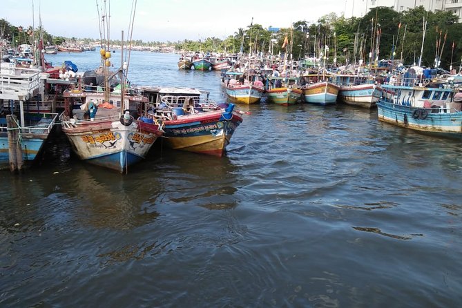 12 Nights Wild Life & Nature Tour - Location Details