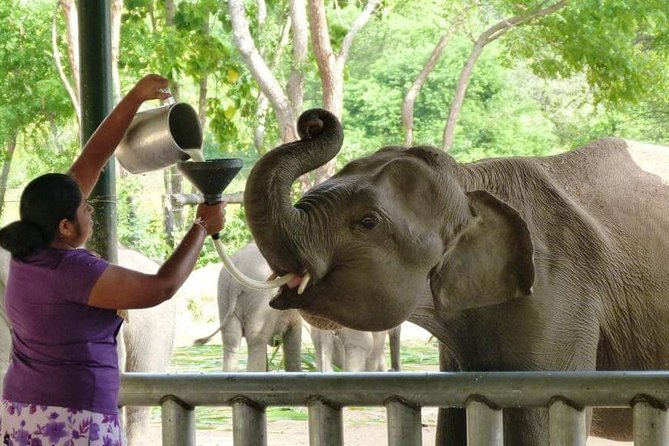 12 Nights Wild Life & Nature Tour - Exclusions List