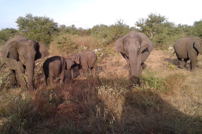 12 Nights Wild Life & Nature Tour - Pickup Points