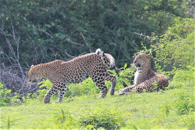 12 Nights Wild Life & Nature Tour - Operating Hours