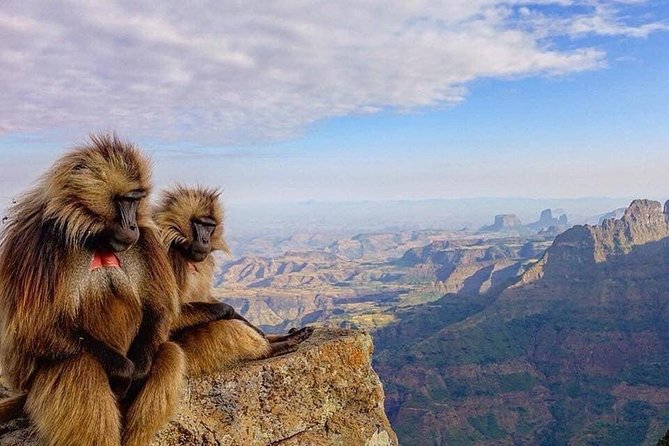12days Trekking In Simien Mountain & Around Lalibela - Good To Know