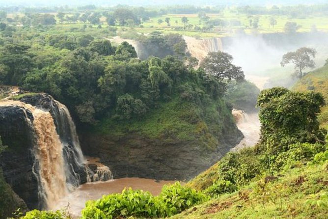 12days Trekking In Simien Mountain & Around Lalibela - Wildlife Encounters