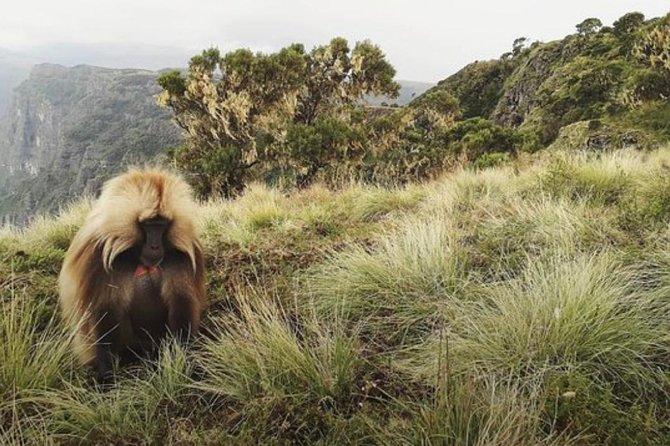 12days Trekking In Simien Mountain & Around Lalibela - Trekking Challenges