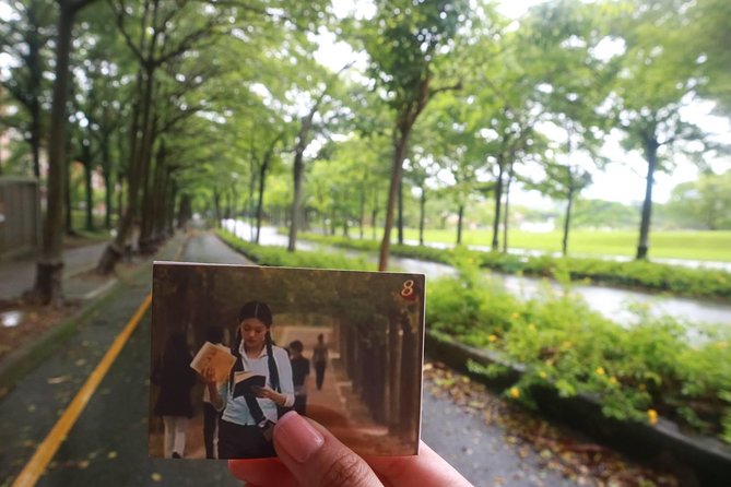 12hrs - Chiayi Meteor Garden Classic Tour From Taipei - Itinerary Overview