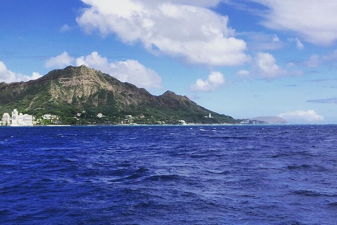 12pm Turtle Canyon Snorkel Adventure - Complimentary Drinks and Snacks on Board