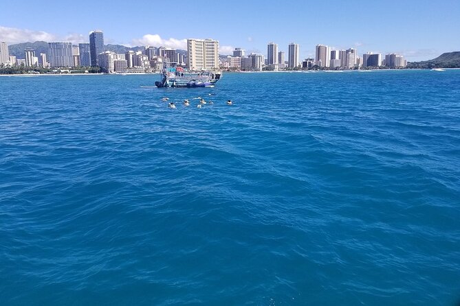 12pm Turtle Canyon Snorkel Adventure - Customer Reviews and Host Responses