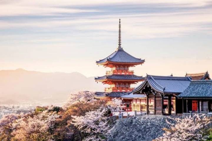 13 Day Central Japan Cherry Blossom Festival by UME Travel - Hiroshima and Miyajima add depth