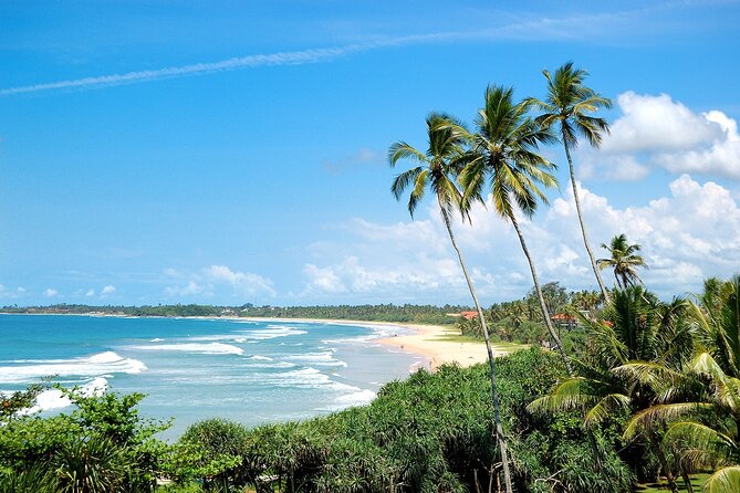 13-Day Flexible Private Sri Lanka Tour - Accommodation Details