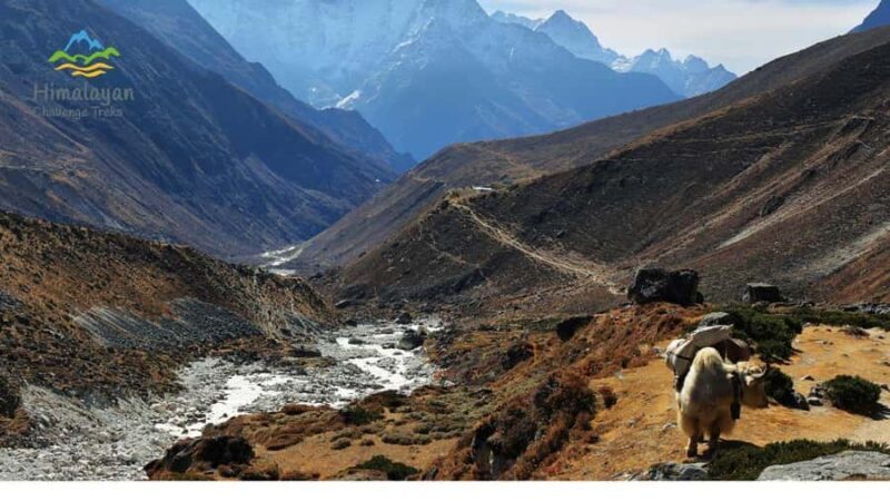 13-Day Langtang to Gosaikunda Lakes, Legends & High Trails - An In-Depth Look at the 13-Day Trek Experience