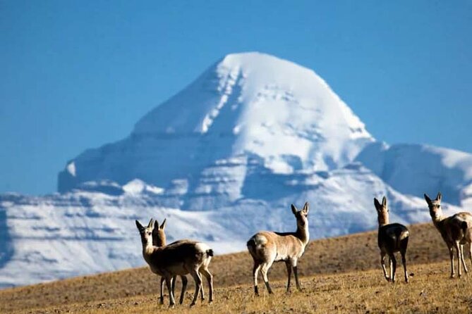 13 Day Lhasa, Mt. Everest, Mt. Kailash to Kathmandu Adventure - The Sum Up