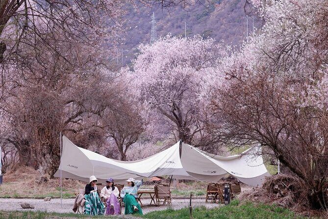 13 Day Nyingchi Peach Blossom Festival Tour - Overview of the Tour Experience