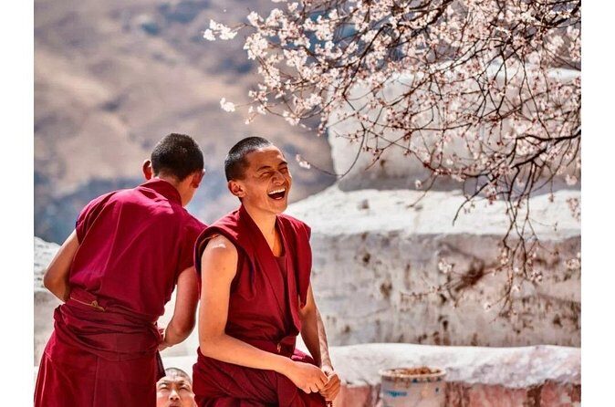 13 Day Nyingchi Peach Blossom Festival Tour - Budgeting and Value