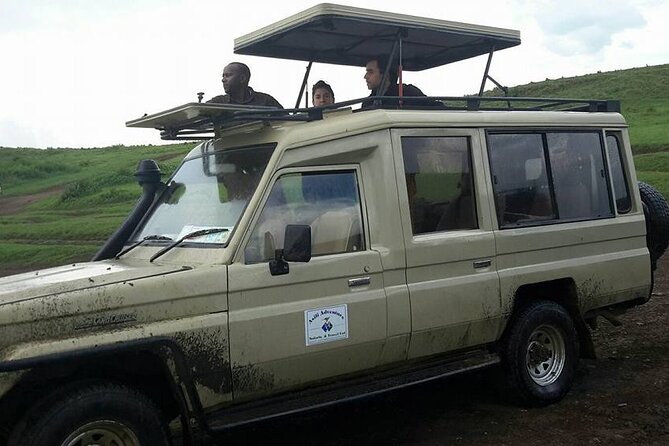13-Day Private Wildlife Safari Tour of Kenya and Tanzania - Wildlife Viewing Opportunities