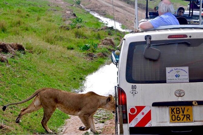 13-Day Private Wildlife Safari Tour of Kenya and Tanzania - Booking Information