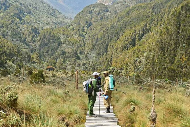 13-Day Rwenzori Mountain and Bwindi Gorilla Safari - Rwenzori Mountain Exploration