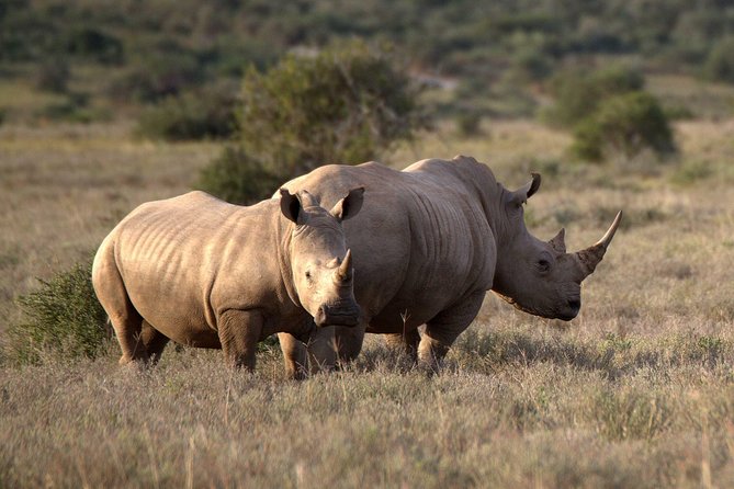 13 Day Safari - Cape Town to Johannesburg - Accommodation and Inclusions