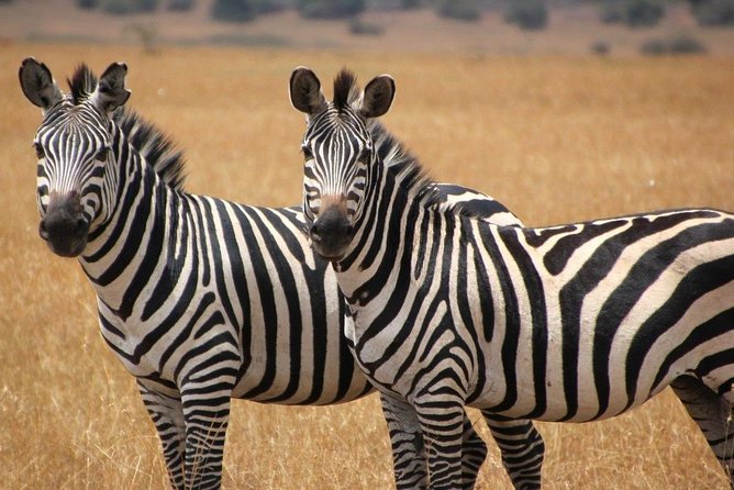 13 Day Safari - Cape Town to Johannesburg - Cancellation Policy