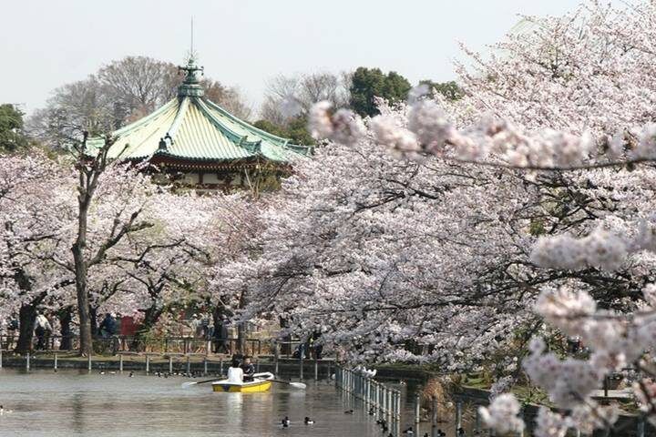 13 Day Spectacular Japans Honshu by UME Travel - Kanazawa: garden design and old neighborhoods