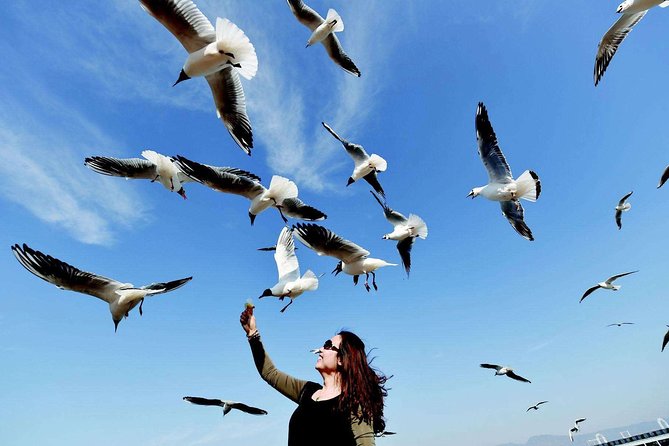 13-day Tour: Essence of Southwest China - Meeting and Pickup Details