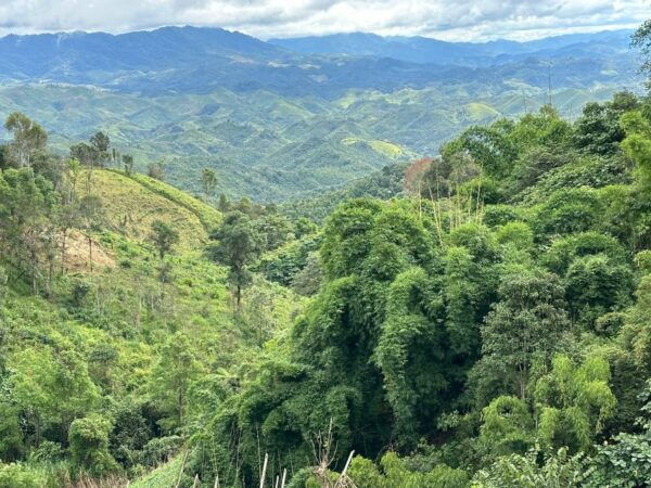 13 Days Adventure North Vietnam to Laos on Motorbike - Motorcycles and Guides