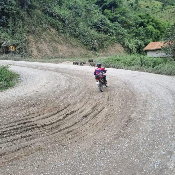 13 Days Adventure North Vietnam to Laos on Motorbike - Route and Destinations