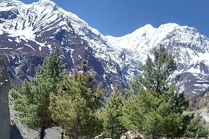 13 Days Annapurna Circuit Trek From Kathmandu - Acclimatization and Altitude