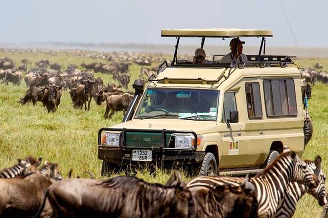 13 Days Discover Kenya and Tanzania Economic Safari - Good To Know