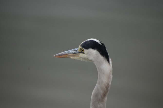 13 Days Discover Kenya and Tanzania Economic Safari - Important Guidelines for Travelers