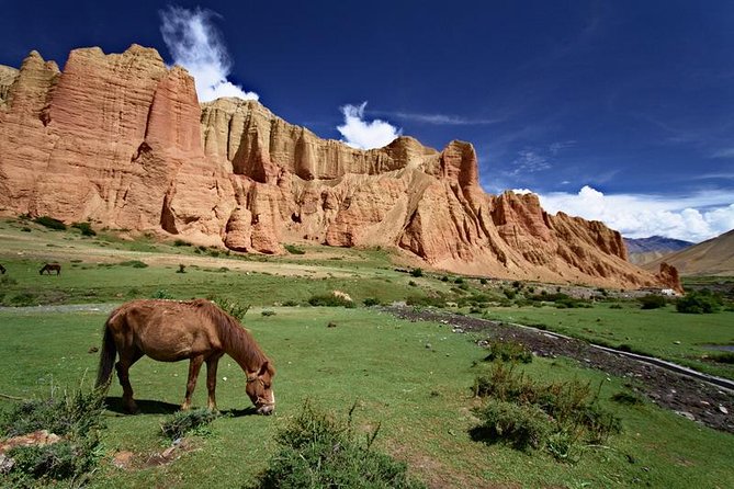 13 Days Easy Road Trip to Upper Mustang by Jeep - Mustangs Unique Landscape and Culture