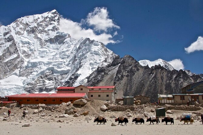 13 Days Everest Base Camp Trek - Cultural Experiences Along the Trek