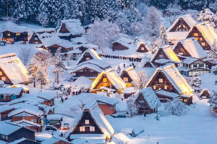 13 Days Iconic Japan Tour (private guide & driver) by UME Travel - Rail to Kyoto, then temples and tea