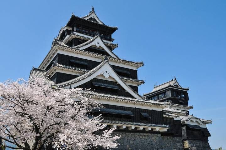 13 Days Iconic Japan Tour (private guide & driver) by UME Travel - Should you book this Japan tour?