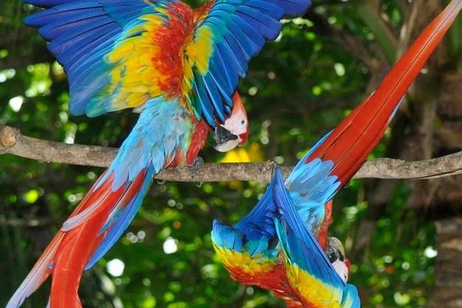 13 Days: Jungle and Beach in Costa Rica - Tour Inclusions