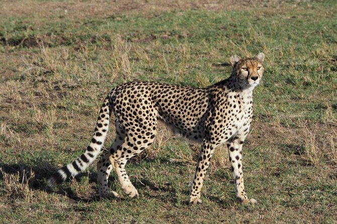 13-Days Kenya and Tanzani Safari 4x4 Jeep Safari - Accommodation Information