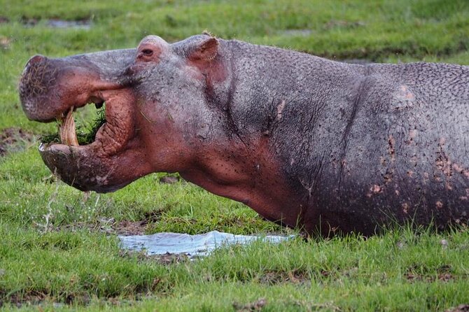 13-Days Kenya and Tanzani Safari 4x4 Jeep Safari - Meal Plan